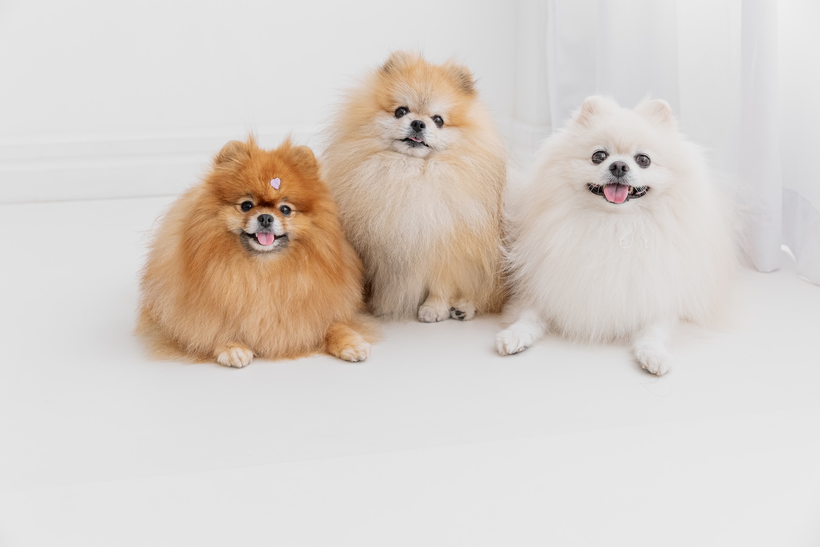 Checklist Pré-Ensaio